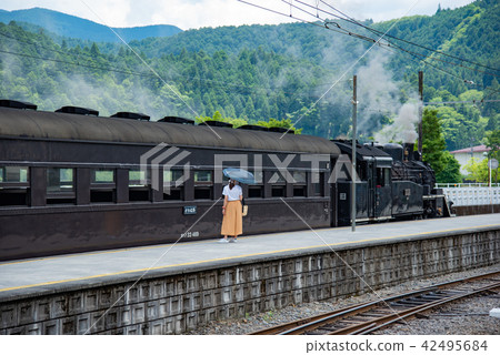 靜岡縣Oi River Tetsudo SL火車進入Chiko站的家代表遮陽傘的女人 靜岡縣Oi River Tetsudo SL火車進入Chiko站的家代表遮陽傘的女人 42495684