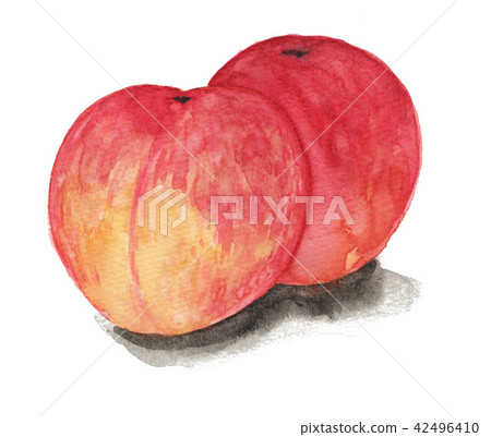 水果 桃子 水蜜桃 42496410