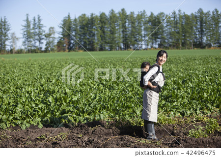 同時保持嬰兒家庭園藝 42496475