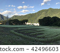 [群馬縣]蕎麥花園 42496603