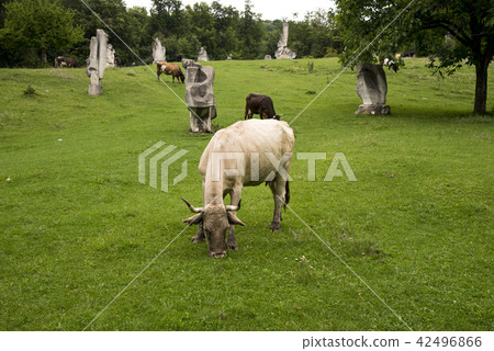 Magura Sculpture Camp - Buzau - Romania 42496866
