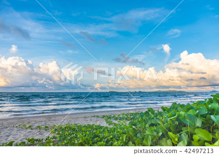 image of beautiful sand beach. image of beautiful sand beach. 42497213