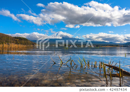 image of Mount Fuji and Lake Kawaguchi. image of Mount Fuji and Lake Kawaguchi. 42497434