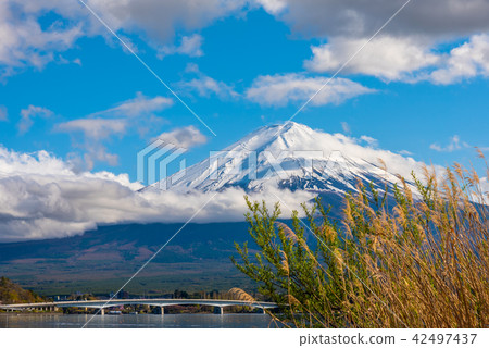 Mount Fuji and Lake Kawaguchi with cloudy sky . Mount Fuji and Lake Kawaguchi with cloudy sky . 42497437