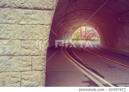 sakura tree at the end of tunnel. sakura tree at the end of tunnel. 42497472