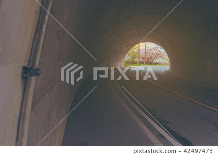 sakura tree at the end of tunnel. 42497473