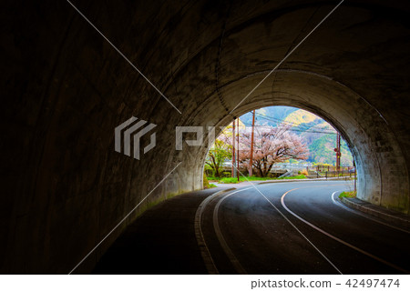 sakura tree at the end of tunnel. 42497474