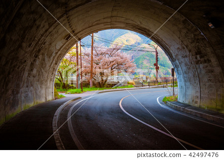 sakura tree at the end of tunnel. 42497476