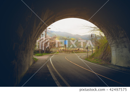 sakura tree at the end of tunnel. sakura tree at the end of tunnel. 42497575