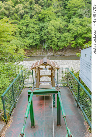 奈良県十津川村　野猿 42497709