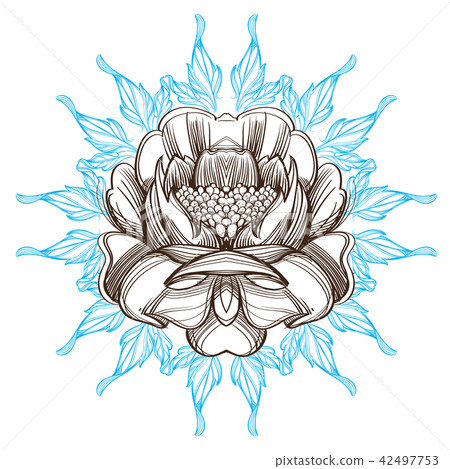 Hand drawn peony. Sketch style. Floral design element. 42497753