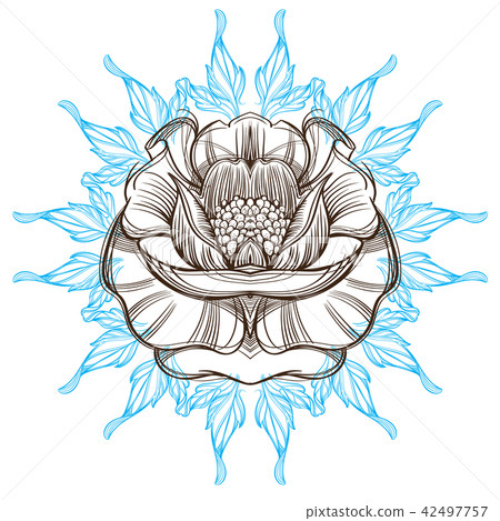 Hand drawn peony. Sketch style. Floral design element. Hand drawn peony. Sketch style. Floral design element. 42497757