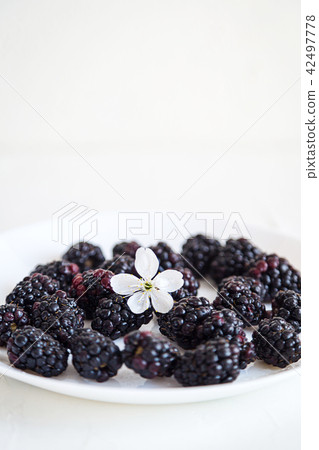 Fresh berries on white concrete background Fresh berries on white concrete background 42497778
