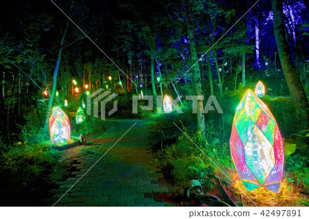 Kenji Miyazawa兒童村燈光2018年 42497891