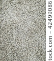 Gray carpet texture  42499086