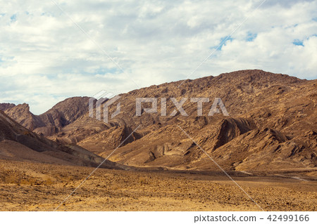 Makhtesh Ramon Crater, Negev desert, Israel 42499166