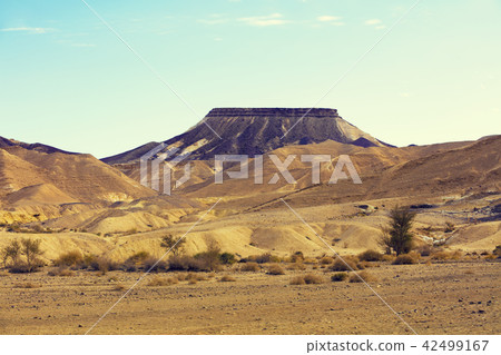 Makhtesh Ramon Crater, Negev desert, Israel Makhtesh Ramon Crater, Negev desert, Israel 42499167
