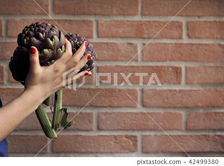 Artichokes are fresh in the hands of women. Bouquet from vegetables. Healthy Italian food. 42499380
