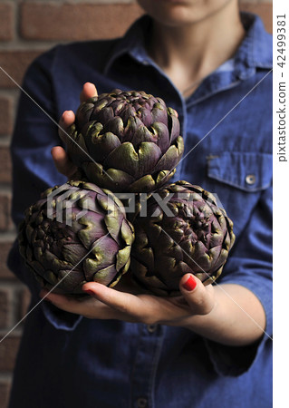 Artichokes are fresh in the hands of women. Bouquet from vegetables. Healthy Italian food. Artichokes are fresh in the hands of women. Bouquet from vegetables. Healthy Italian food. 42499381
