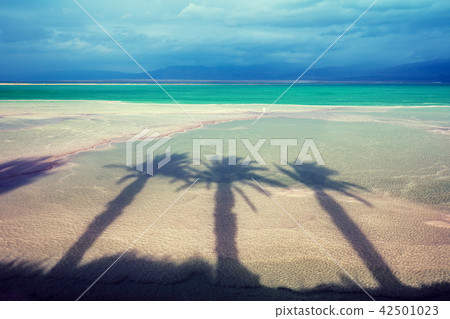 Dead Sea shore. Ein Bokek, Israel 42501023