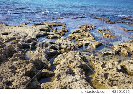 Rocky seashore. Rosh Hanikra Sea Reserve. Israel 42501055