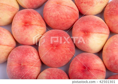 桃子 桃子 42501301