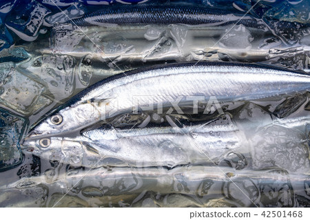 Sanma ingredients 42501468