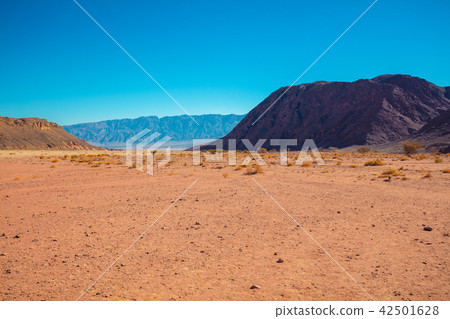 Sandstone rock in Timna park, Israel 42501628