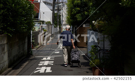 Shinjuku alleyway 42502155