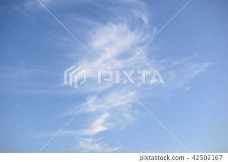 夏日的天空 夏日的天空 42502167