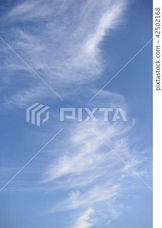 夏日的天空 42502168