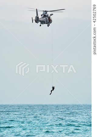 Eurocopter AS565 Panther 42502769