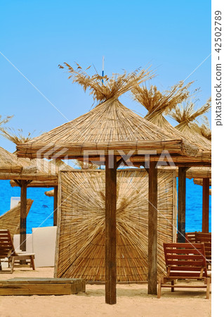 Beach Umbrellas and Lounge Chairs Beach Umbrellas and Lounge Chairs 42502789