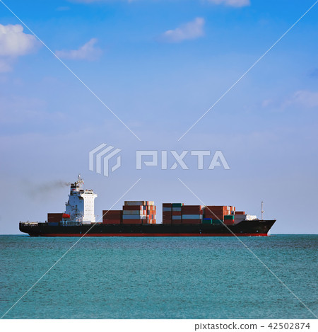 Container Ship in the Sea 42502874