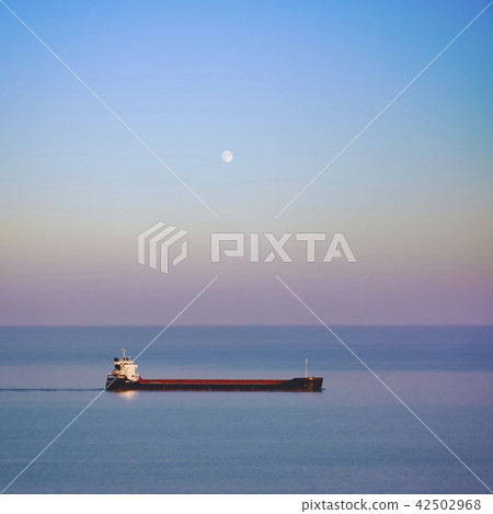 Cargo Ship Cargo Ship 42502968