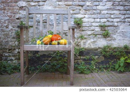Autumn nature. Fall fruit on wood. Thanksgiving. autumn vegetables on an old chair in the garden Autumn nature. Fall fruit on wood. Thanksgiving. autumn vegetables on an old chair in the garden 42503064
