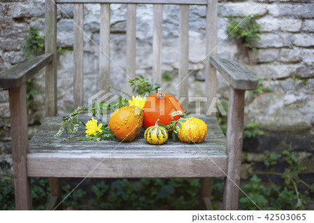 Autumn nature. Fall fruit on wood. Thanksgiving. autumn vegetables on an old chair in the garden Autumn nature. Fall fruit on wood. Thanksgiving. autumn vegetables on an old chair in the garden 42503065