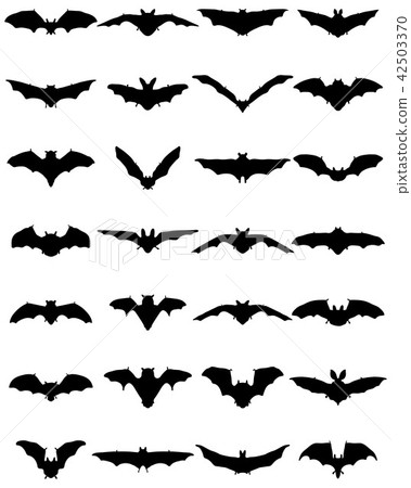 black silhouettes of bats black silhouettes of bats 42503370