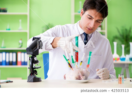 Lab assistant testing GMO chicken Lab assistant testing GMO chicken 42503513