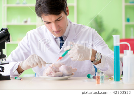 Lab assistant testing GMO chicken 42503533