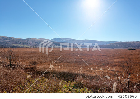 Kirigamine Marshland (November autumn fine weather, Yashimagahara) Kirigamine Marshland (November autumn fine weather, Yashimagahara) 42503669