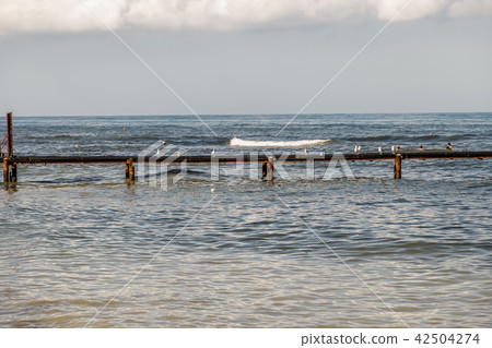 Seagulls are sitting on the quay that goes into 42504274