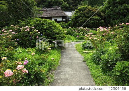 牧之原市花Shoya Ooba家族 42504466