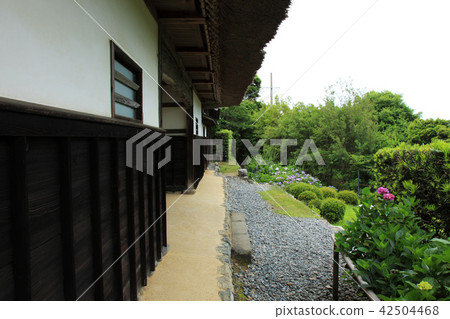 牧之原市花Shoya Ooba家族 牧之原市花Shoya Ooba家族 42504468