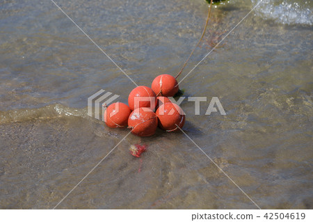 Red buoys in the open sea on a sunny day. 42504619