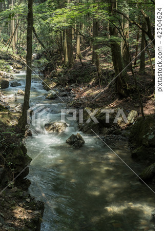 山間溪流(庫拉瑪河) 山間溪流(庫拉瑪河) 42504624