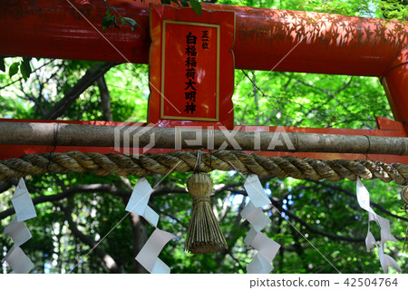 Nomiya Shrine的Shikifuku Inari神社 42504764
