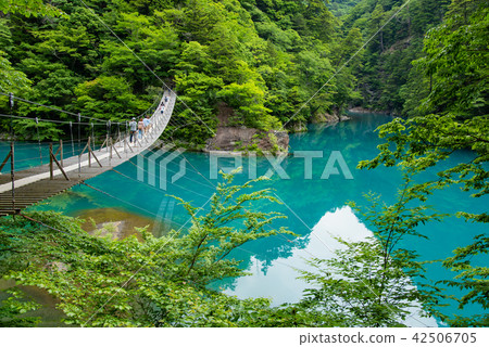 Shizuoka Prefecture Tsumugi Gora Dream Suspension Bridge 42506705