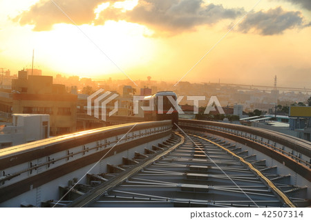 Yellow rail when the twilight 42507314