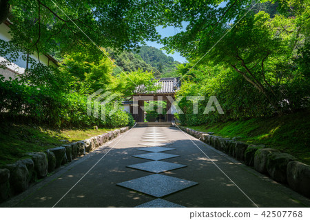 新鮮的綠色京都南禪寺塔的最高贏家 新鮮的綠色京都南禪寺塔的最高贏家 42507768